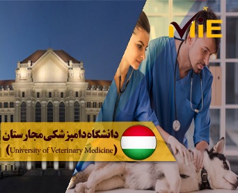 دانشگاه دامپزشکی مجارستان